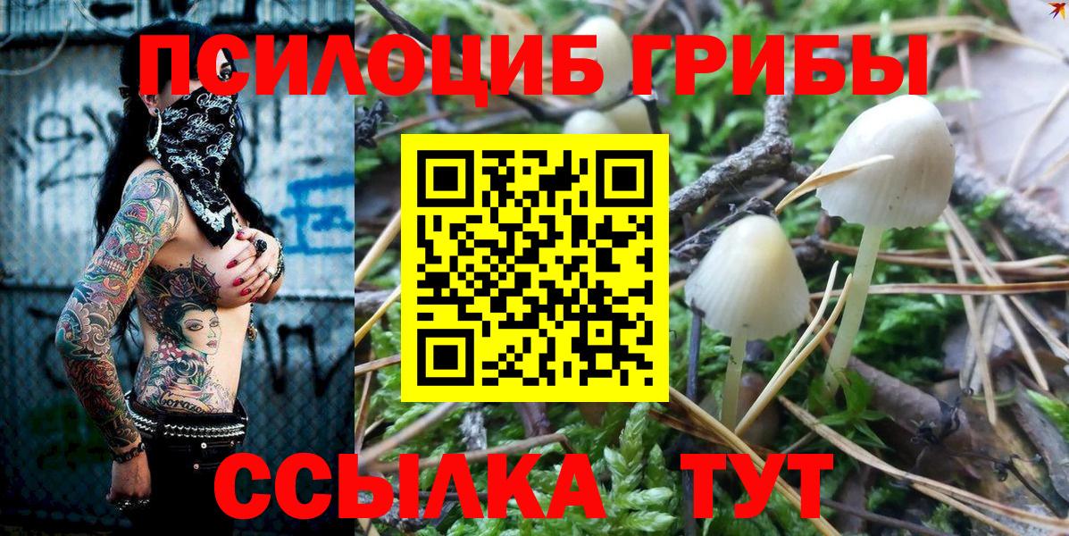 Галлюциногенные грибы мухоморы Ковров