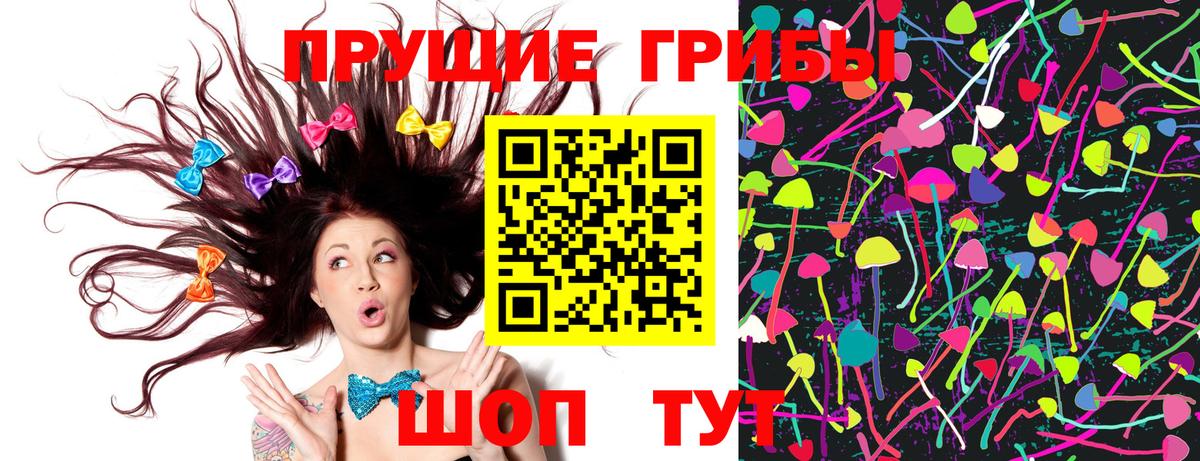 Ковров  Псилоцибиновые грибы прущие грибы  Вход с VPN  Псилоцибиновые грибы Psilocybine cubensis 